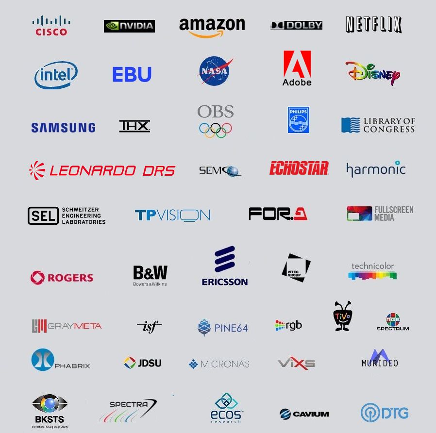 VideoQ Customers and Partners